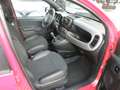 Fiat Panda Panda III 2021 1.0 firefly hybrid Sport s Rot - thumbnail 13