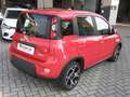 Fiat Panda Panda III 2021 1.0 firefly hybrid Sport s Rot - thumbnail 3