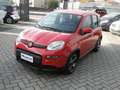 Fiat Panda Panda III 2021 1.0 firefly hybrid Sport s Rot - thumbnail 1