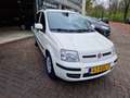 Fiat Panda 1.2 Edizione Cool 2E EIGENAAR|12MND GARANTIE|NW AP Wit - thumbnail 3