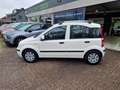 Fiat Panda 1.2 Edizione Cool 2E EIGENAAR|12MND GARANTIE|NW AP Wit - thumbnail 9