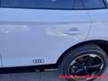Audi Q5 40 TDI quattro S tronic S line plus Bianco - thumbnail 9
