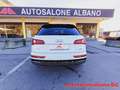 Audi Q5 40 TDI quattro S tronic S line plus Bianco - thumbnail 6