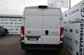 Toyota Proace Max L3H2 Work 4,49% Weiß - thumbnail 4