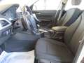 BMW 116 1ER 116D 2.0 Blanco - thumbnail 17