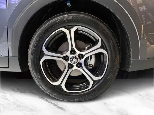 MG ZS view 8