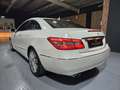 Mercedes-Benz E 350 Avantgarde BlueEfficiency CDI Aut. Weiß - thumbnail 25