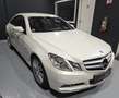 Mercedes-Benz E 350 Avantgarde BlueEfficiency CDI Aut. Weiß - thumbnail 5