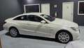 Mercedes-Benz E 350 Avantgarde BlueEfficiency CDI Aut. Weiß - thumbnail 23