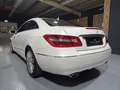 Mercedes-Benz E 350 Avantgarde BlueEfficiency CDI Aut. Weiß - thumbnail 19