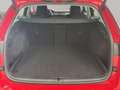 Skoda Octavia Combi Style 1,5 TGI 96kW DSG G-TEC Rot - thumbnail 12