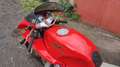 Moto Guzzi 1000 Daytona Rouge - thumbnail 4