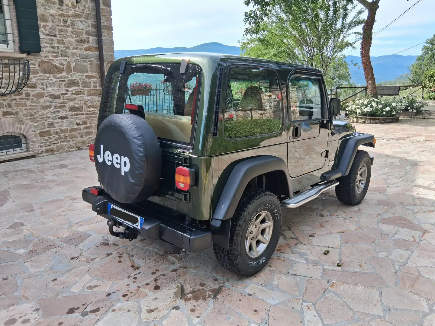Jeep Wrangler Wrangler Hard Top 2.5 Sport Verde - 2