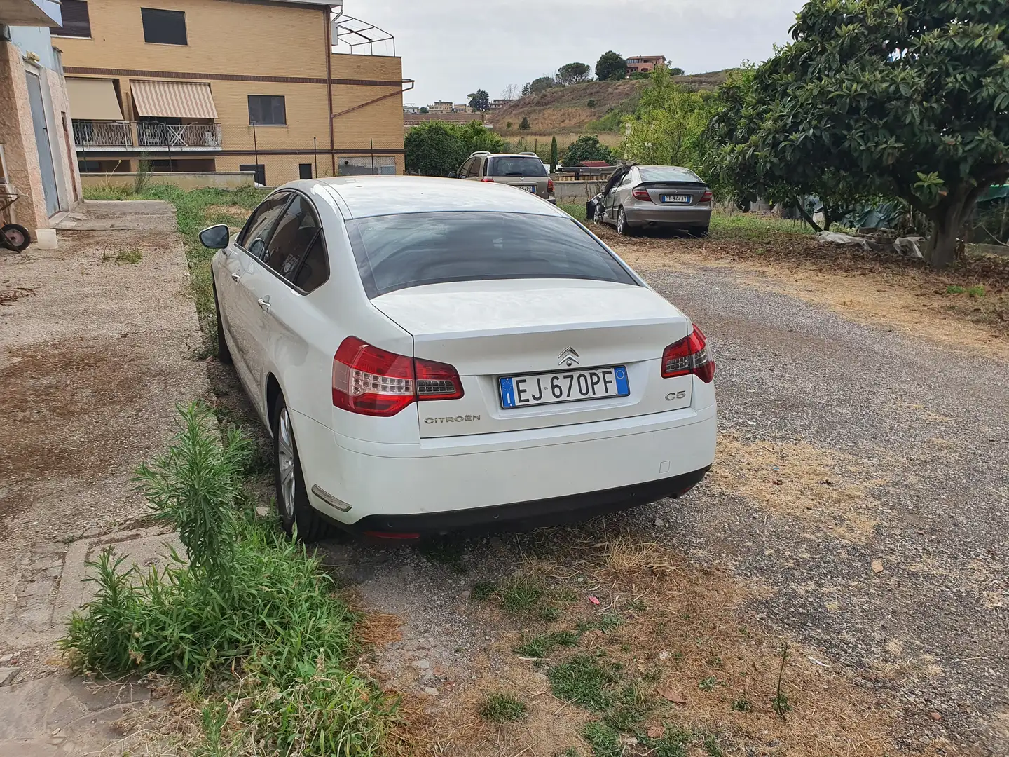 Citroen C5 1.6 Hdi seduction Bianco - 1