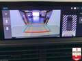 Citroen Jumpy Nouveau M BLUEHDI 145 BVM6 Blanc - thumbnail 18