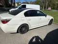 BMW 530 E60 530D M-Paket Motorschaden - thumbnail 6