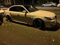 BMW 530 E60 530D M-Paket Motorschaden - thumbnail 10