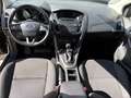 Ford Focus Focus 1.6 Schwarz - thumbnail 10
