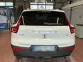 Volvo XC40 XC40 2.0 B4 Mild-Hybrid Ultra Dark 2WD Weiß - thumbnail 5