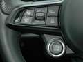 Alfa Romeo Tonale Tonale 1,5 Hybrid Edition Speziale Grün - thumbnail 8