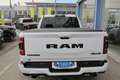 RAM 1500 Ram 1500 Night Edition 4x4 VORSTEUER Weiß - thumbnail 5