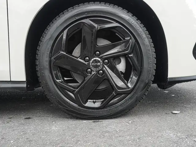 Byd Seal view 6