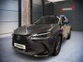 Lexus NX 450h+ NX 2,5l Plug-in, CVT Executive Line Grau - thumbnail 14