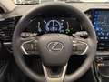 Lexus NX 450h+ NX 2,5l Plug-in, CVT Executive Line Grau - thumbnail 12