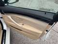 BMW 520 Serie 5 F11 Touring 520d Touring 190cv Blanc - thumbnail 18