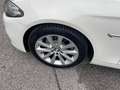 BMW 520 Serie 5 F11 Touring 520d Touring 190cv Bianco - thumbnail 3