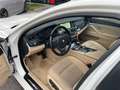 BMW 520 Serie 5 F11 Touring 520d Touring 190cv Bianco - thumbnail 15