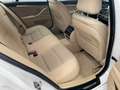 BMW 520 Serie 5 F11 Touring 520d Touring 190cv Blanc - thumbnail 13