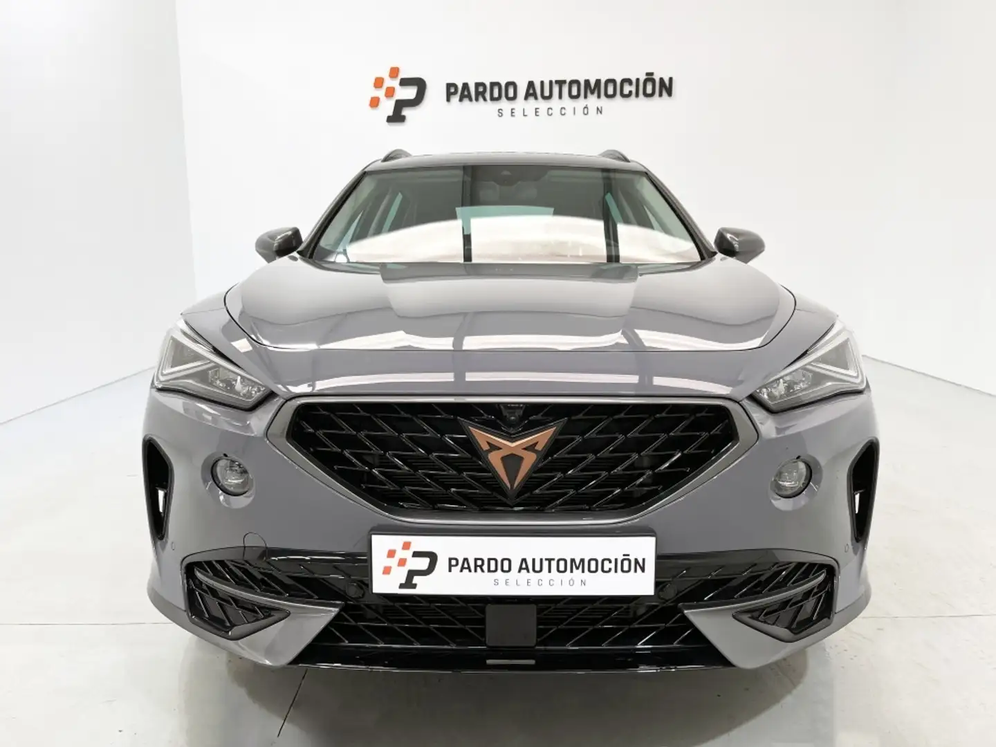 CUPRA Formentor 1.5 TSI 150 Gris - 2