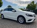 Mercedes-Benz A 180 A -Klasse CDI / d BlueEfficiency NAVI/SHZ Bílá - thumbnail 3