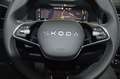 Skoda Karoq Selection AHK,ACC,Navi,Virtual,LED,5J.Gar. Grau - thumbnail 14