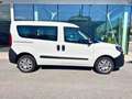 Fiat Doblo 1.3 MJT 16v Easy 95cv COMBI N1 +IVA Bianco - thumbnail 5