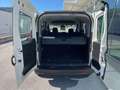 Fiat Doblo 1.3 MJT 16v Easy 95cv COMBI N1 +IVA Bianco - thumbnail 13