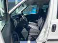 Fiat Doblo 1.3 MJT 16v Easy 95cv COMBI N1 +IVA Bianco - thumbnail 9