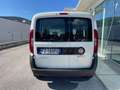 Fiat Doblo 1.3 MJT 16v Easy 95cv COMBI N1 +IVA Bianco - thumbnail 8