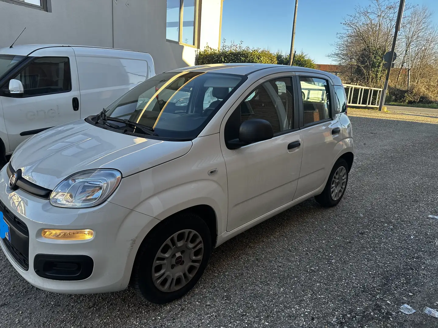 Fiat Panda 1.2 69 CV OK NEOPATENTATI UNIPROPRIETARIO Bianco - 2