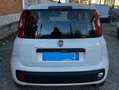 Fiat Panda 1.2 69 CV OK NEOPATENTATI UNIPROPRIETARIO Bianco - thumbnail 5