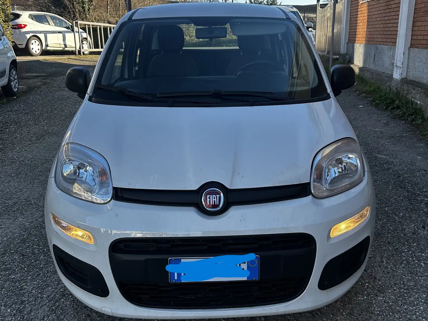 Fiat Panda 1.2 69 CV OK NEOPATENTATI UNIPROPRIETARIO Bianco - 1