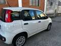 Fiat Panda 1.2 69 CV OK NEOPATENTATI UNIPROPRIETARIO Bianco - thumbnail 6