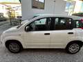 Fiat Panda 1.2 69 CV OK NEOPATENTATI UNIPROPRIETARIO Bianco - thumbnail 3