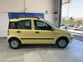 Fiat Panda 1.2 Alessi Gelb - thumbnail 4