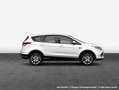 Ford Kuga 2.0 TDCi 4x4 Aut. Titanium Blanco - thumbnail 4