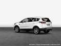 Ford Kuga 2.0 TDCi 4x4 Aut. Titanium Blanco - thumbnail 7