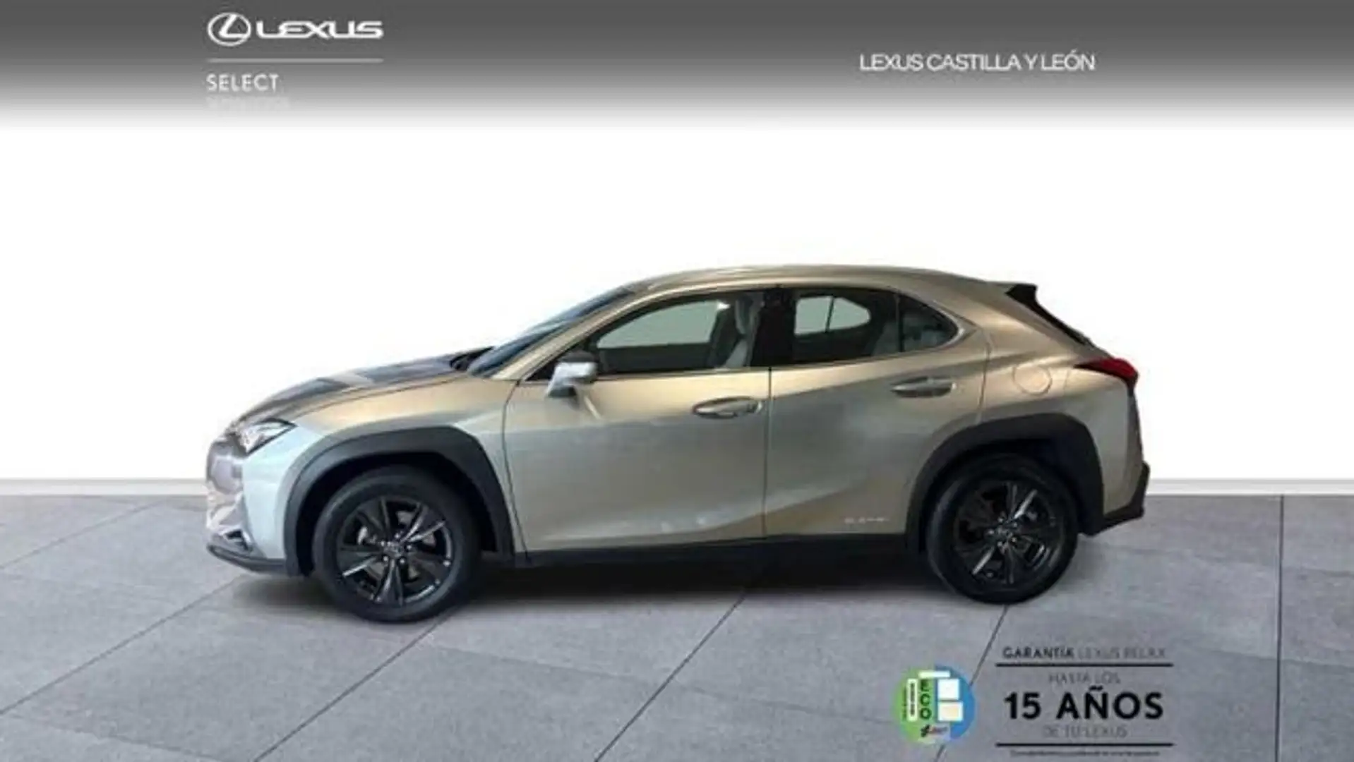 Lexus UX 200 2WD BUSINESS Gris - 2