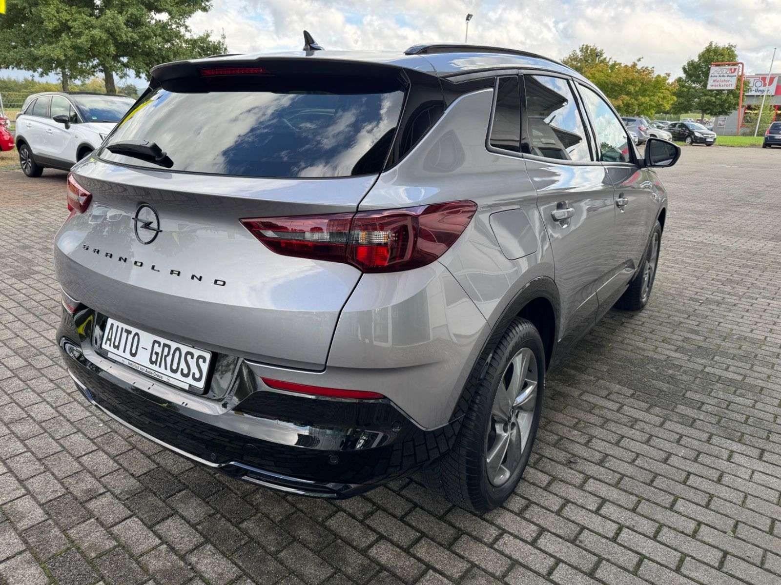 Opel Grandland X