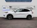 Ford Kuga 2.5 Duratec 190ch FHEV E85 ST-Line BVA Blanc - thumbnail 4